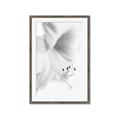 Picture of White Floral Hues _GroupedProduct_Rectangle_Portrait_Photography _GroupedProduct_Rectangle_Portrait_Framed_Matted_