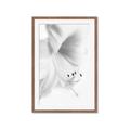 Picture of White Floral Hues _GroupedProduct_Rectangle_Portrait_Photography _GroupedProduct_Rectangle_Portrait_Framed_Matted_