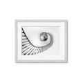 Picture of La Escalera _GroupedProduct_Rectangle_Landscape_Photography _GroupedProduct_Rectangle_Landscape_Framed_Matted_