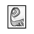 Picture of The Spiral _GroupedProduct_Rectangle_Portrait_Photography _GroupedProduct_Rectangle_Portrait_Framed_Matted_