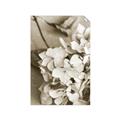 Picture of The Flowers He Gave _GroupedProduct_Rectangle_Portrait_Photography _GroupedProduct_Rectangle_Portrait_Unframed_Print_Only_