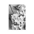 Picture of The Flowers He Gave _GroupedProduct_Rectangle_Portrait_Photography _GroupedProduct_Rectangle_Portrait_Unframed_Print_Only_