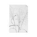 Picture of Whispering Mirage Dried Grass _GroupedProduct_Rectangle_Portrait_Photography _GroupedProduct_Rectangle_Portrait_Unframed_Print_Only_