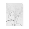 Picture of Whispering Mirage Dried Grass _GroupedProduct_Rectangle_Portrait_Photography _GroupedProduct_Rectangle_Portrait_Unframed_Print_Only_