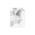 Picture of White Floral Hues _GroupedProduct_Rectangle_Portrait_Photography _GroupedProduct_Rectangle_Portrait_Unframed_Print_Only_