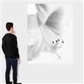 Picture of White Floral Hues _GroupedProduct_Rectangle_Portrait_Photography _GroupedProduct_Rectangle_Portrait_Canvas_