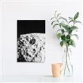 Picture of Moon Landing _GroupedProduct_Rectangle_Portrait_Photography _GroupedProduct_Rectangle_Portrait_Canvas_