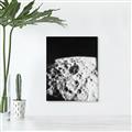 Picture of Moon Landing _GroupedProduct_Rectangle_Portrait_Photography _GroupedProduct_Rectangle_Portrait_Canvas_