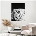 Picture of Moon Landing _GroupedProduct_Rectangle_Portrait_Photography _GroupedProduct_Rectangle_Portrait_Canvas_