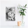 Picture of The Flowers He Gave _GroupedProduct_Rectangle_Portrait_Photography _GroupedProduct_Rectangle_Portrait_Canvas_