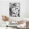 Picture of The Flowers He Gave _GroupedProduct_Rectangle_Portrait_Photography _GroupedProduct_Rectangle_Portrait_Canvas_