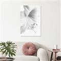 Picture of White Floral Hues _GroupedProduct_Rectangle_Portrait_Photography _GroupedProduct_Rectangle_Portrait_Canvas_