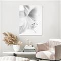 Picture of White Floral Hues _GroupedProduct_Rectangle_Portrait_Photography _GroupedProduct_Rectangle_Portrait_Canvas_