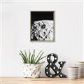 Picture of Moon Landing _GroupedProduct_Rectangle_Portrait_Photography _GroupedProduct_Rectangle_Portrait_Canvas_Framed_