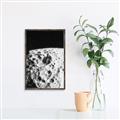 Picture of Moon Landing _GroupedProduct_Rectangle_Portrait_Photography _GroupedProduct_Rectangle_Portrait_Canvas_Framed_