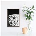 Picture of Moon Landing _GroupedProduct_Rectangle_Portrait_Photography _GroupedProduct_Rectangle_Portrait_Canvas_Framed_
