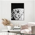 Picture of Moon Landing _GroupedProduct_Rectangle_Portrait_Photography _GroupedProduct_Rectangle_Portrait_Canvas_Framed_