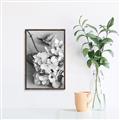 Picture of The Flowers He Gave _GroupedProduct_Rectangle_Portrait_Photography _GroupedProduct_Rectangle_Portrait_Canvas_Framed_