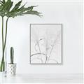 Picture of Whispering Mirage Dried Grass _GroupedProduct_Rectangle_Portrait_Photography _GroupedProduct_Rectangle_Portrait_Canvas_Framed_