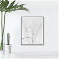 Picture of Whispering Mirage Dried Grass _GroupedProduct_Rectangle_Portrait_Photography _GroupedProduct_Rectangle_Portrait_Canvas_Framed_