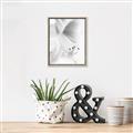 Picture of White Floral Hues _GroupedProduct_Rectangle_Portrait_Photography _GroupedProduct_Rectangle_Portrait_Canvas_Framed_