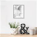 Picture of White Floral Hues _GroupedProduct_Rectangle_Portrait_Photography _GroupedProduct_Rectangle_Portrait_Canvas_Framed_