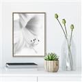 Picture of White Floral Hues _GroupedProduct_Rectangle_Portrait_Photography _GroupedProduct_Rectangle_Portrait_Canvas_Framed_