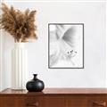 Picture of White Floral Hues _GroupedProduct_Rectangle_Portrait_Photography _GroupedProduct_Rectangle_Portrait_Canvas_Framed_