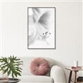 Picture of White Floral Hues _GroupedProduct_Rectangle_Portrait_Photography _GroupedProduct_Rectangle_Portrait_Canvas_Framed_