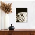 Picture of Moon Landing _GroupedProduct_Rectangle_Portrait_Photography _GroupedProduct_Rectangle_Portrait_Unframed_Print_Only_