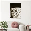 Picture of Moon Landing _GroupedProduct_Rectangle_Portrait_Photography _GroupedProduct_Rectangle_Portrait_Unframed_Print_Only_