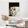 Picture of Moon Landing _GroupedProduct_Rectangle_Portrait_Photography _GroupedProduct_Rectangle_Portrait_Unframed_Print_Only_