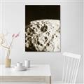 Picture of Moon Landing _GroupedProduct_Rectangle_Portrait_Photography _GroupedProduct_Rectangle_Portrait_Unframed_Print_Only_