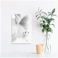 Picture of White Floral Hues _GroupedProduct_Rectangle_Portrait_Photography _GroupedProduct_Rectangle_Portrait_Unframed_Print_Only_