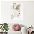 Picture of White Floral Hues _GroupedProduct_Rectangle_Portrait_Photography _GroupedProduct_Rectangle_Portrait_Unframed_Print_Only_