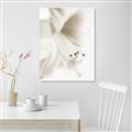 Picture of White Floral Hues _GroupedProduct_Rectangle_Portrait_Photography _GroupedProduct_Rectangle_Portrait_Unframed_Print_Only_