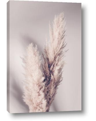 Picture of Enchanted Pampas Grass
