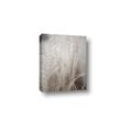 Picture of Elysian Grass _GroupedProduct_Rectangle_Portrait_Photography _GroupedProduct_Rectangle_Portrait_Canvas_