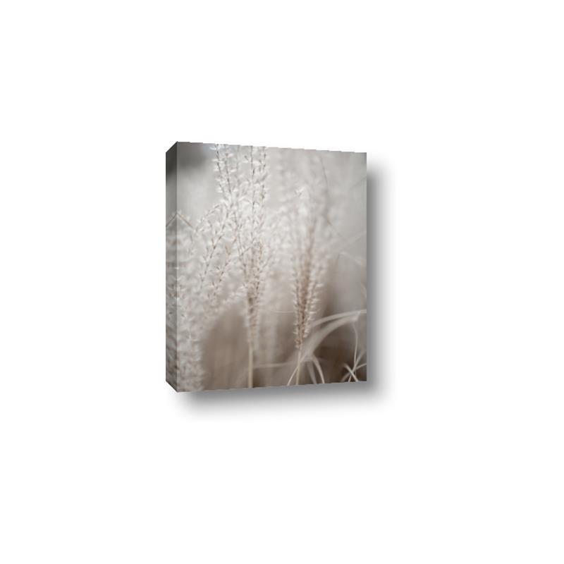 Picture of Elysian Grass _GroupedProduct_Rectangle_Portrait_Photography _GroupedProduct_Rectangle_Portrait_Canvas_