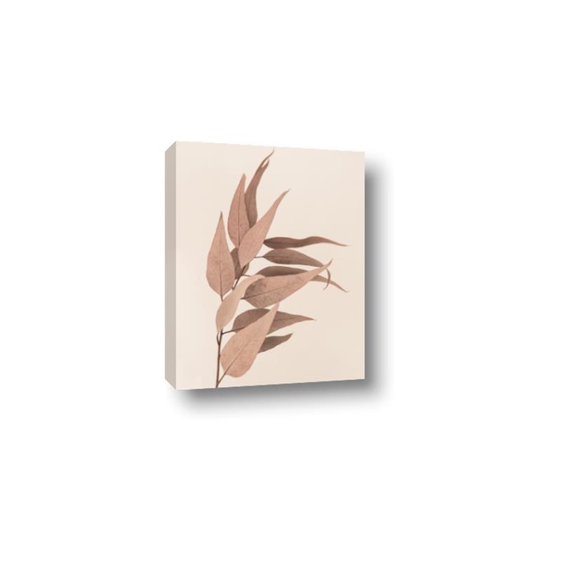 Picture of Dried Eucalyptus Blossom _GroupedProduct_Rectangle_Portrait_Photography _GroupedProduct_Rectangle_Portrait_Canvas_