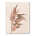 Picture of Dried Eucalyptus Blossom _GroupedProduct_Rectangle_Portrait_Photography _GroupedProduct_Rectangle_Portrait_Canvas_