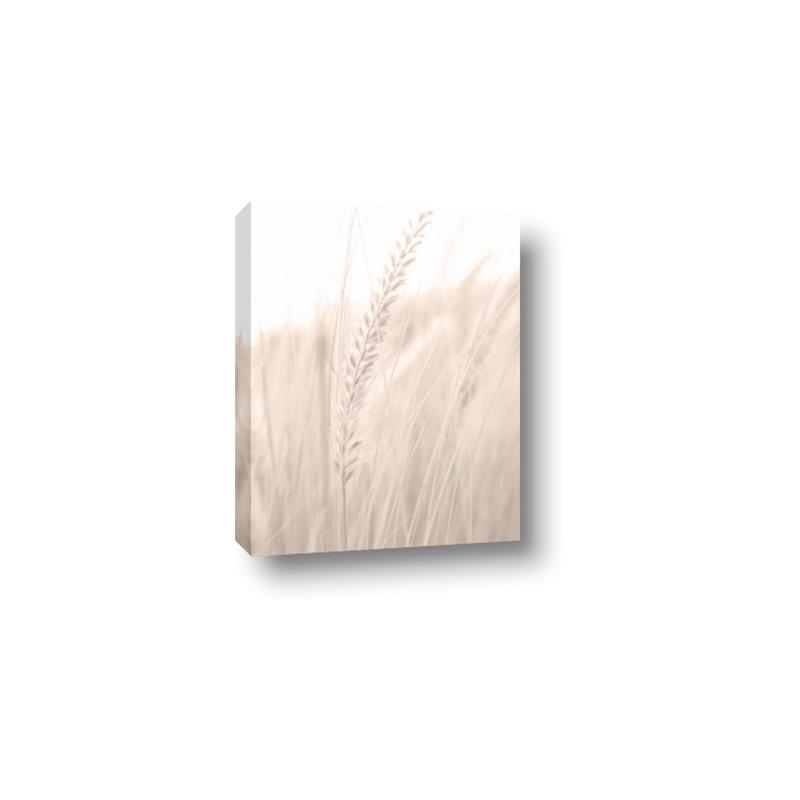 Picture of Rhapsody of Grass Blades _GroupedProduct_Rectangle_Portrait_Photography _GroupedProduct_Rectangle_Portrait_Canvas_