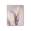 Picture of Enchanted Pampas Grass _GroupedProduct_Rectangle_Portrait_Photography _GroupedProduct_Rectangle_Portrait_Canvas_