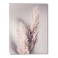 Picture of Enchanted Pampas Grass _GroupedProduct_Rectangle_Portrait_Photography _GroupedProduct_Rectangle_Portrait_Canvas_