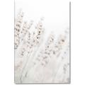 Picture of Grass straws _GroupedProduct_Rectangle_Portrait_Photography _GroupedProduct_Rectangle_Portrait_Canvas_
