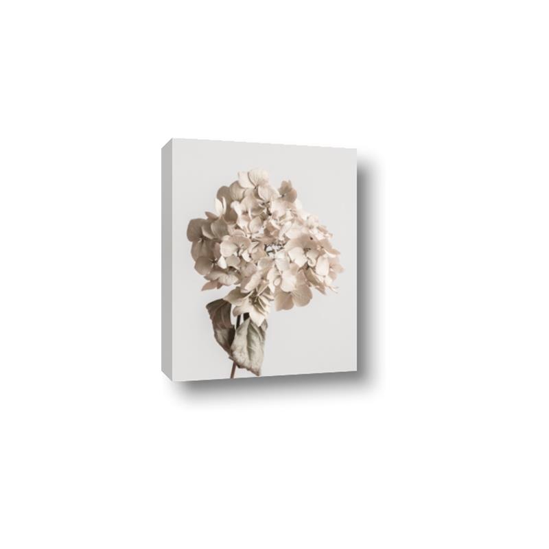 Picture of Lullaby of a Beige Flower _GroupedProduct_Rectangle_Portrait_Photography _GroupedProduct_Rectangle_Portrait_Canvas_