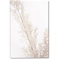 Picture of Earthy Flora Straws _GroupedProduct_Rectangle_Portrait_Photography _GroupedProduct_Rectangle_Portrait_Canvas_
