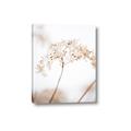 Picture of Desert Bloom Elegance _GroupedProduct_Rectangle_Portrait_Photography _GroupedProduct_Rectangle_Portrait_Canvas_