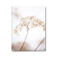 Picture of Desert Bloom Elegance _GroupedProduct_Rectangle_Portrait_Photography _GroupedProduct_Rectangle_Portrait_Canvas_