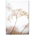 Picture of Desert Bloom Elegance _GroupedProduct_Rectangle_Portrait_Photography _GroupedProduct_Rectangle_Portrait_Canvas_